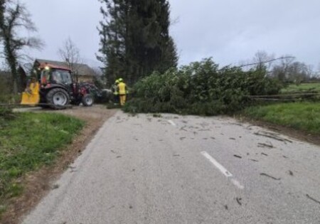 vir foto pgd Cerklje_4_gasilci